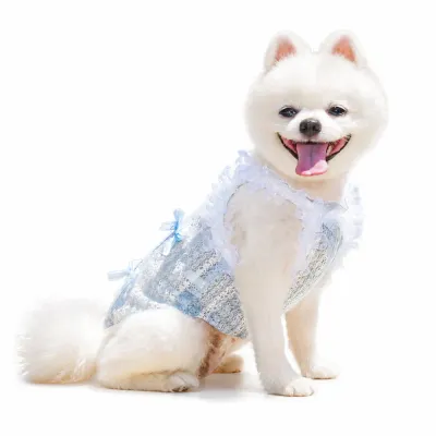 Cute Lace Ruffle Dog Vest for Small Dogs Blue White Pomeranian wearing a blue lace ruffle dog vest with bow decorations for summer