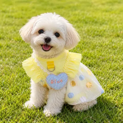 Cute small dog wearing breathable yellow bubble dress on grass during summer outdoor activity