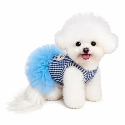 Blue Striped Tulle Dog Dress for Small Dogs | Pet Princess Outfit White fluffy small dog wearing a blue striped tulle princess dress with layered mesh skirt on white background