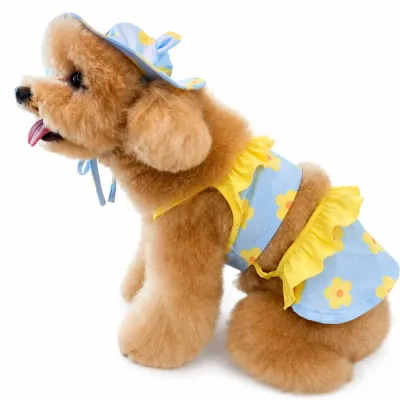 Floral Dog Swimsuit with Sun Hat for Small Dogs | Petfairs Small poodle wearing blue floral dog swimsuit with yellow ruffle trim and matching sun hat for summer beach and pool