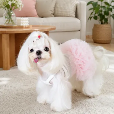 Pink Tutu Dog Dress for Small Breed Dogs | Petfairs Small white dog wearing a pink tutu pet dress in a cozy living room setting