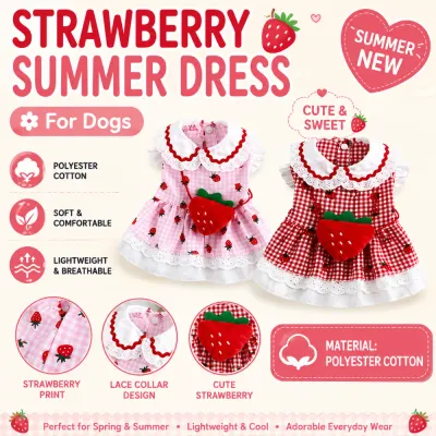 Strawberry Summer Dog Dress Wholesale Detail Image | Petfairs Strawberry print dog dresses with lace collar, breathable polyester cotton fabric, and cute summer design