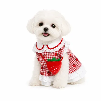 Strawberry Plaid Dog Dress with Lace Collar for Small Dogs | Petfairs Cute small dog wearing red strawberry plaid pet dress with lace collar and strawberry mini bag for spring and summer