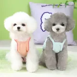 Small Dogs Wearing Mesh Pet Clothes Front view of a white poodle and a gray poodle sitting comfortably in lightweight summer tank tops.