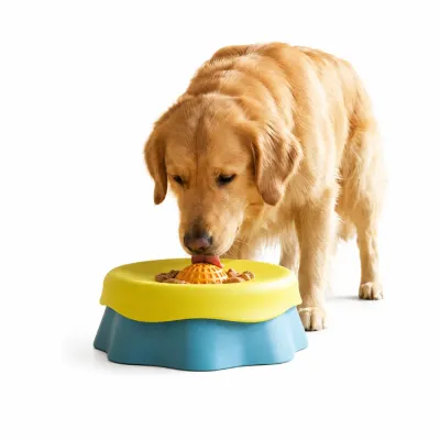 Silicone Dog Slow Feeder Bowl for Healthy Eating Golden retriever using a silicone slow feeder dog bowl to promote healthy eating and slow feeding habits indoors