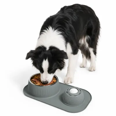 Border Collie using anti-slip slow feeder dog bowl with stainless steel food bowl and licking ball mat