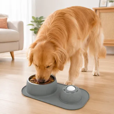 Golden Retriever eating from anti-slip silicone slow feeder bowl with stainless steel insert in living room