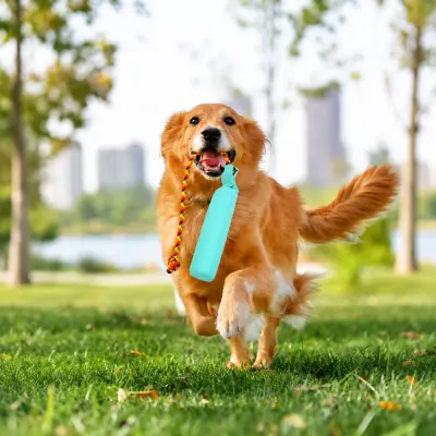 Golden retriever carrying a floating rope dog toy while running outdoors in a park