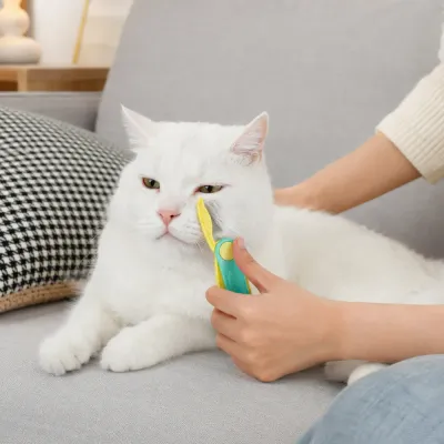 Self Cleaning Cat Grooming Brush for Shedding Fur White cat relaxing while being brushed with a self cleaning pet grooming brush on sofa