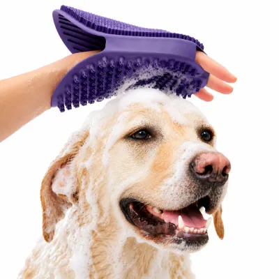 Silicone Pet Bath Massage Brush for Dogs | Dual-Sided Grooming Brush Purple silicone dual-sided pet bath massage brush being used to wash a Labrador dog with rich foam during bath time