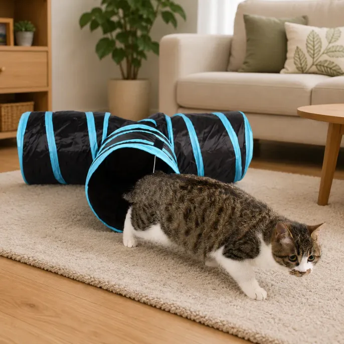 Indoor Cat Playing with Foldable Tunnel Toy in Living Room Indoor cat playing inside a blue foldable cat tunnel toy in a modern living room setting