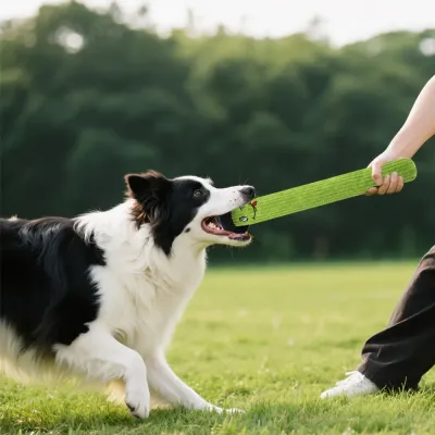 Dog playing tug-of-war outdoors with green long monster squeaky dog toy