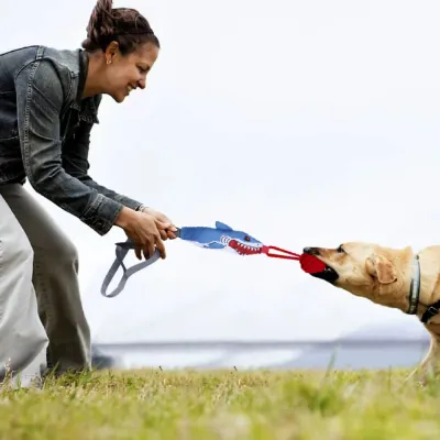 Outdoor Tug of War Dog Training Toy Dog owner playing tug of war outdoors with interactive shark dog toy and rope ball