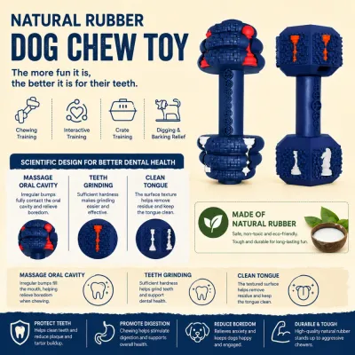 Natural Rubber Dental Dog Chew Toy Product Features Natural rubber dog chew toy infographic showing dental cleaning, chewing training, and interactive benefits