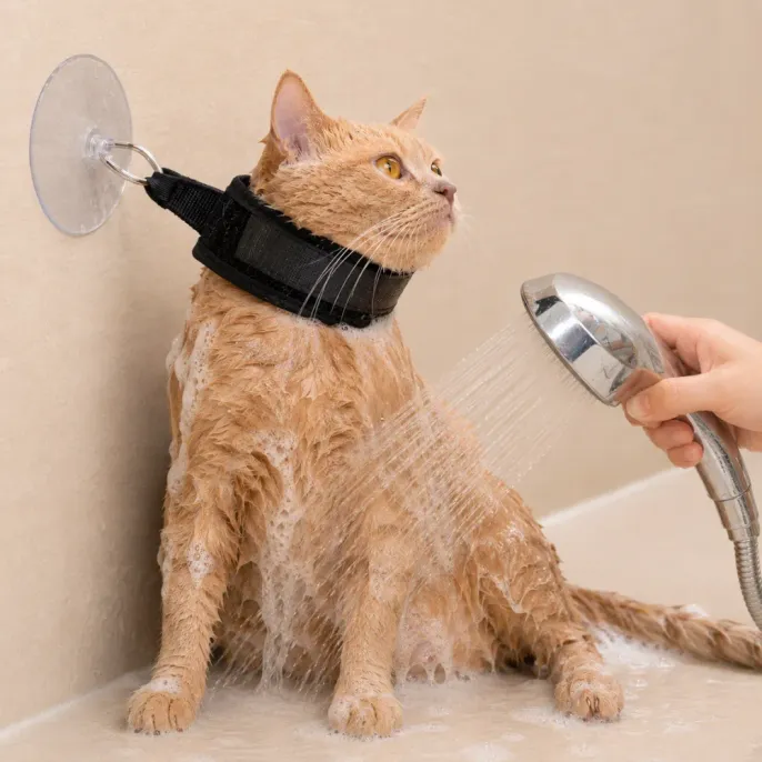 Cat Bathing Restraint in Use During Pet Shower Grooming | Petfairs Orange cat wearing bathing restraint harness while being showered in a pet grooming bathroom