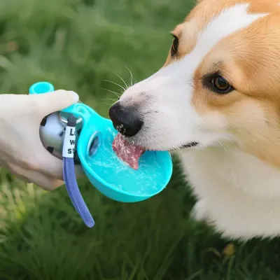 Portable Dog Water Bottle for Outdoor Walking and Travel Corgi drinking water from a portable foldable dog water bottle during an outdoor walk on grass