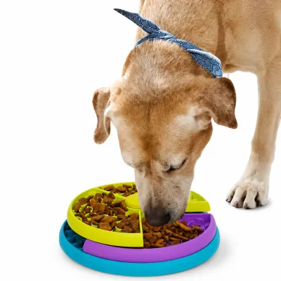 Golden retriever using interactive rotating slow feeder dog bowl for healthy slow eating and mental stimulation