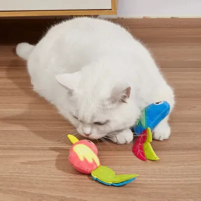 Cat Playing with Simulated Bird Catnip Plush Toy White cat playing with colorful simulated bird catnip plush toys on wooden floor indoors