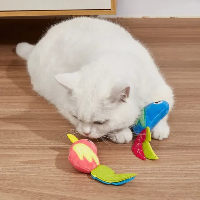 White cat playing with colorful simulated bird catnip plush toys on wooden floor indoors