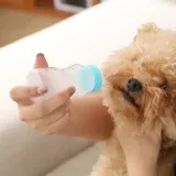 Puppy-Bottle-Feeding-Set