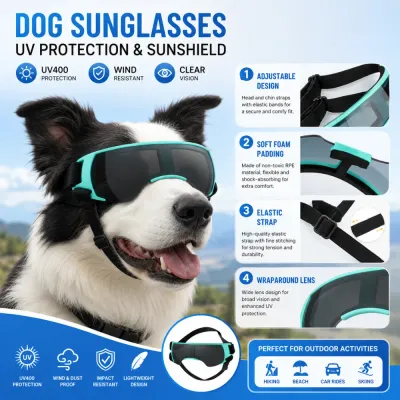 UV Protection Dog Sunglasses for Outdoor Activities Border collie wearing UV400 dog sunglasses for hiking beach travel and car rides