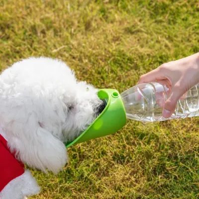White dog using a portable dog water bottle on grass during outdoor activity
