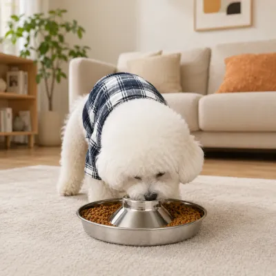 Dog Using Stainless Steel Slow Feeder Bowl Indoors White dog eating from stainless steel anti-tip slow feeder bowl in living room scene