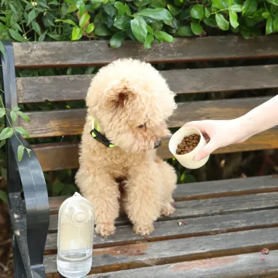 Scene Image_2
