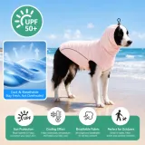 Border Collie wearing UPF50+ cooling dog sun protection shirt on the beach for UV protection and breathable summer comfort