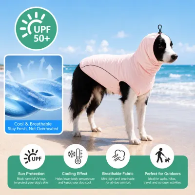 Border Collie wearing UPF50+ cooling dog sun protection shirt on the beach for UV protection and breathable summer comfort