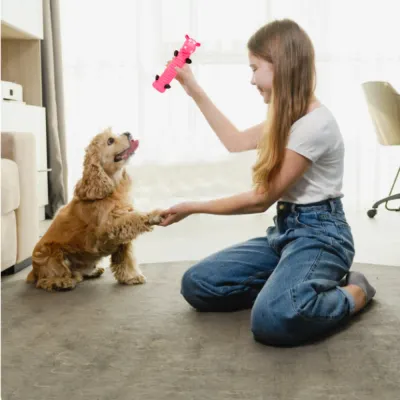Woman playing with dog using pink latex squeaky chew toy indoors