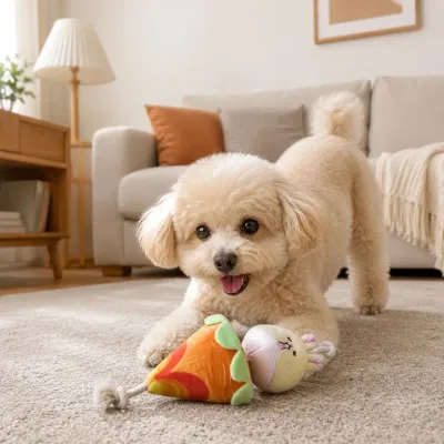 Small Dog Playing with Plush Pull & Chew Pet Toy Indoors Small fluffy dog playing with rabbit plush pull and chew pet toy in living room