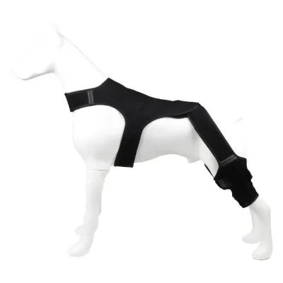 Black dog hind leg support brace with adjustable straps for hip, thigh, and knee stabilization on white mannequin dog model