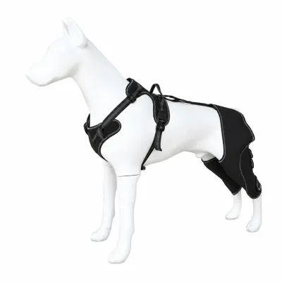 Dog Knee Brace for Back Leg Joint Support Adjustable dog knee brace for back leg support and joint protection recovery wrap for dogs