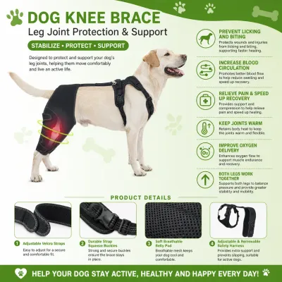 Dog Knee Brace Joint Protection Features Dog knee brace for joint protection pain relief recovery and rear leg stabilization support
