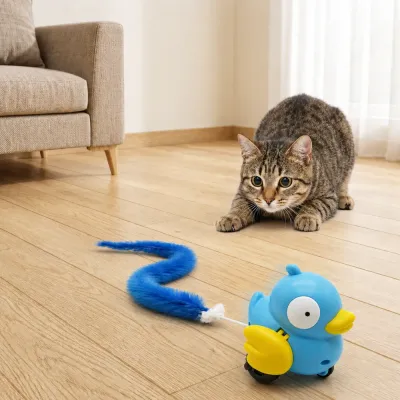 Cat Playing with Blue Fluffy Tail Pull-Back Toy Indoors Indoor cat watching and playing with blue fluffy tail pull-back toy on wooden floor