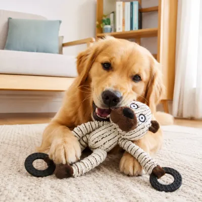 Golden retriever chewing corduroy squeaky dog toy indoors on carpet in modern living room