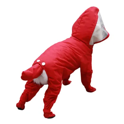 Small dog wearing a red waterproof 4-legged dog raincoat with transparent hood and full body coverage
