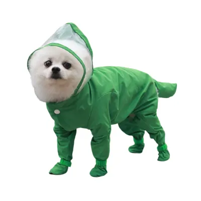 Small dog wearing green waterproof full-body raincoat with transparent hood