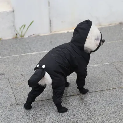 Small white dog wearing black waterproof 4-legged raincoat outdoors on a rainy day