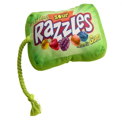 Green plush candy-style squeaky dog toy with durable rope handle for interactive dog play