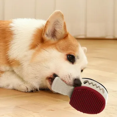 Puppy Playing with Racket Shaped Dog Chew Toy Indoors Cute puppy chewing racket shaped dog toy on indoor wooden floor for teething and interactive play