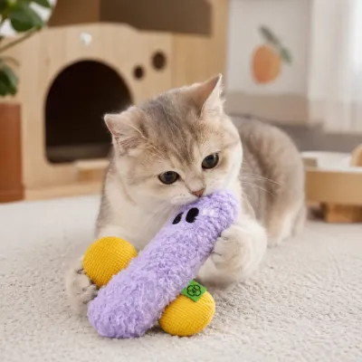 Kitten Playing with Plush Catnip Sound Toy Indoors Cute kitten biting a purple plush catnip sound toy during indoor interactive playtime