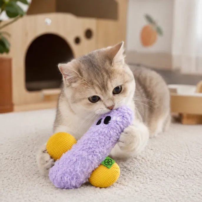 Kitten Playing with Plush Catnip Sound Toy Indoors Cute kitten biting a purple plush catnip sound toy during indoor interactive playtime