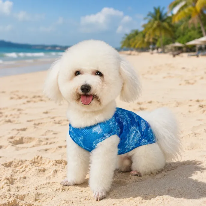 Small white dog wearing blue breathable cooling vest on sunny beach during summer outdoor activity