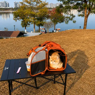 Outdoor Expandable Cat Carrier Backpack for Travel and Camping Outdoor cat carrier backpack with expandable mesh compartment for camping and travel