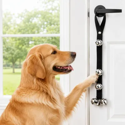 Golden Retriever Using Dog Doorbell Training Bells Golden retriever pressing dog doorbell leash attached to door handle for potty training