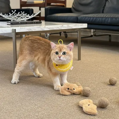 British shorthair cat playing with peanut plush toy and sisal balls on indoor carpet