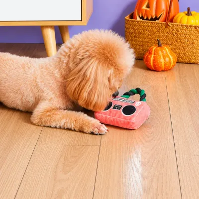 Dog Playing with Plush Squeaky Boombox Toy Indoors Small curly-haired dog playing with pink plush squeaky boombox toy on indoor floor