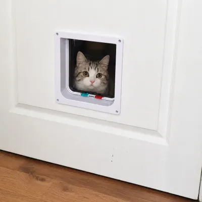 Indoor Pet Door Installed on Wooden Interior Door Cute cat looking through installed white cat flap door on indoor wooden door